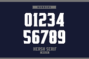 HERSH SERIF FONT FAMILY, a Serif Font by Alphabet Agency (Thumbnail 10 of 14)