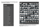 100 Photoshop Splatter Brush Tools preview 3