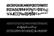 Shelvia Montanila - Beauty Font Duo, a Script Font by Arterfak Project (Thumbnail 9 of 11)