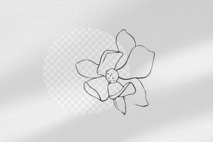 Vector Line Art Flowers Magnolia