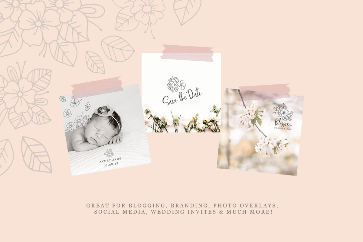 30 Hand Drawn Floral Elements, a Decorative Illustration by By Kerri Ann (Photo 5 of 6)