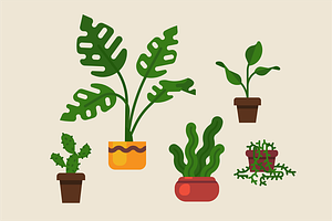 Simple domestic flowers