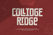 Cogant Typeface, a Sans Serif Font by Grontype (Thumbnail 2 of 10)