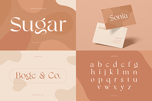 Unique Branding Modern Font Bundle