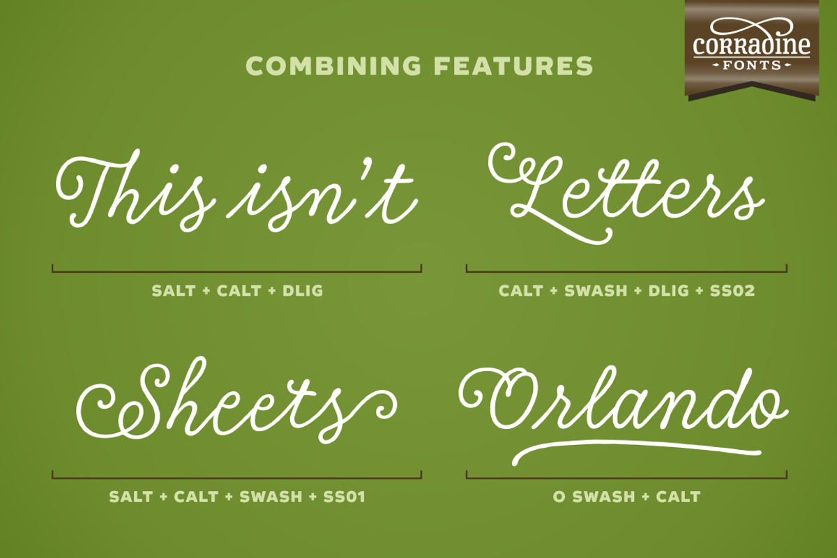 Tierra Script, a Script Font by Corradine Fonts (Photo 12 of 15)