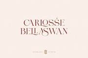 Hallosca Serif Typeface, a Serif Font by Godbless Studio (Thumbnail 11 of 16)