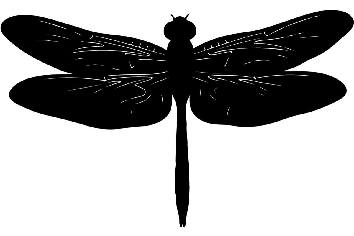 20 Dragonfly Silhouette Mega, an Object Graphic by Designer_Momina (Photo 7 of 19)