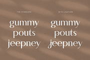Japera - Modern Scripty Sans Display, a Sans Serif Font by Cloverons (Thumbnail 2 of 14)