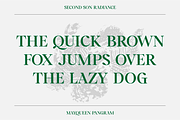 SS Mayqueen - Classy Vintage Serif, a Serif Font by Typocracy Studio (Thumbnail 9 of 10)