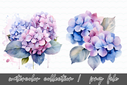 Hydrangea Flowers Watercolor Clipart, an Illustration by SindyPrintDesign (Thumbnail 4 of 4)