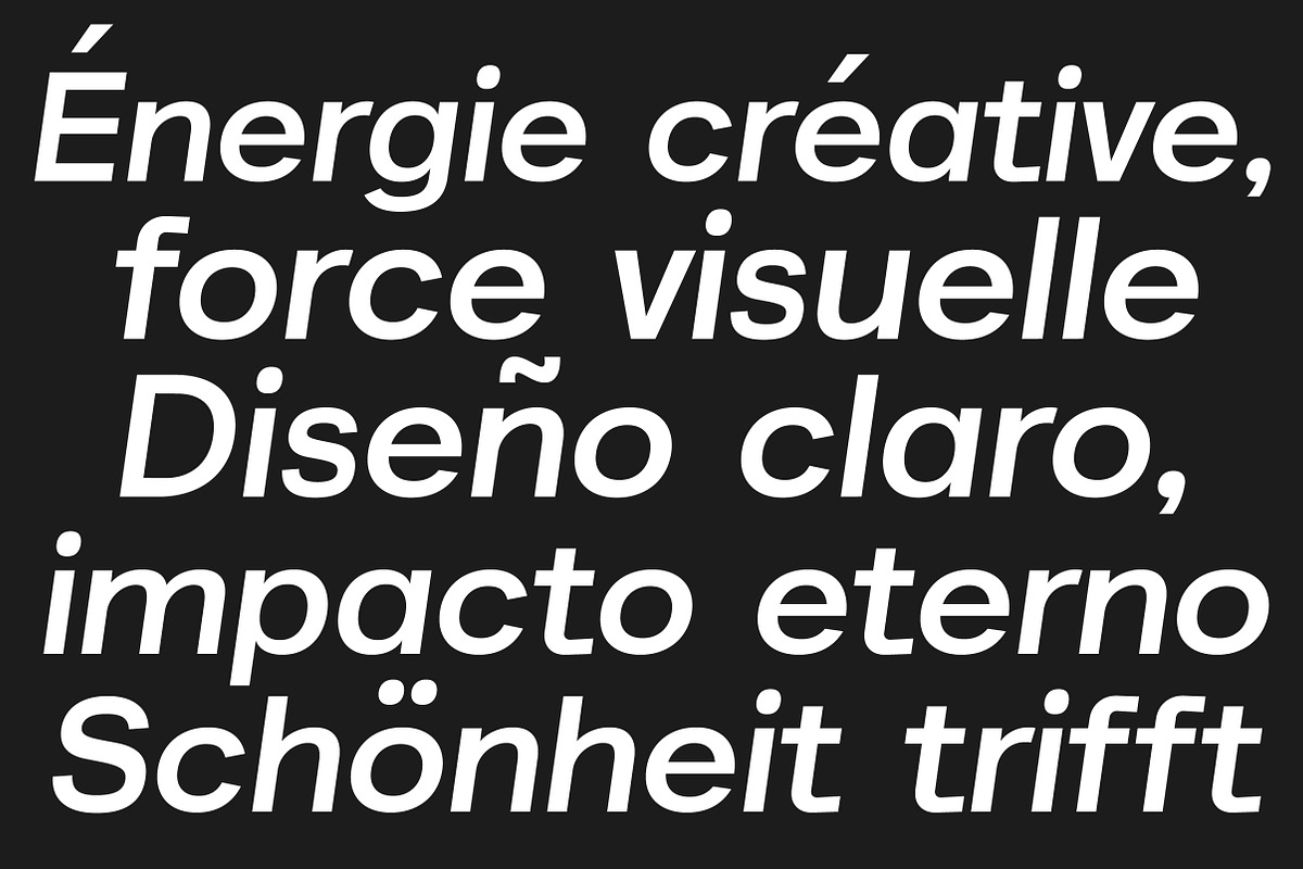 Akmorn Grotesque | Intro 60% OFF, a Sans Serif Font by Lettertype Studio (Photo 13 of 15)