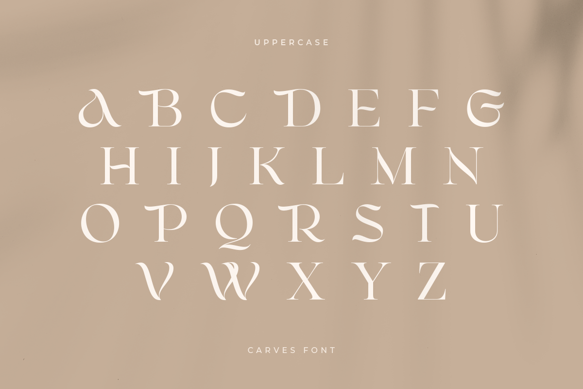 CARVES - Modern Display Font, a Sans Serif Font by Sensatype (Photo 15 of 20)