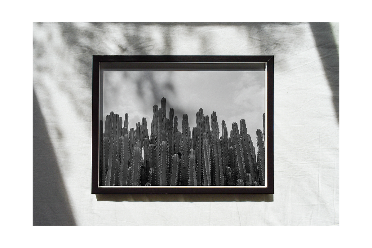 Frame Mockup Bundle - Retusa, a Household Mockup by Saguaro Digital (Photo 14 of 14)