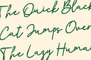 CS Brisa Stamp, a Script Font by Craft Supply Co. (Thumbnail 7 of 8)