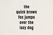Nexline – Bold Sans Serif Font, a Sans Serif Font by Only Fonts (Thumbnail 9 of 11)