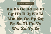 Lousiana Grande - Modern Serif, a Serif Font by Lemon Studio Type (Thumbnail 4 of 7)