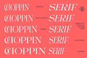 Choppin Serif | 91 Style Font, a Serif Font by Bosstype Studio (Thumbnail 2 of 15)