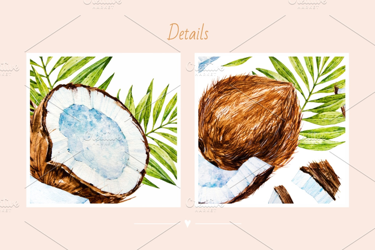 Coconut. Watercolor., a Decorative Illustration by Ekaterina Mikheeva (Photo 5 of 5)