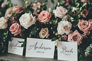 Branch & Bramble Calligraphy Font, a Script Font by Callie Rian & Co. (Thumbnail 2 of 17)