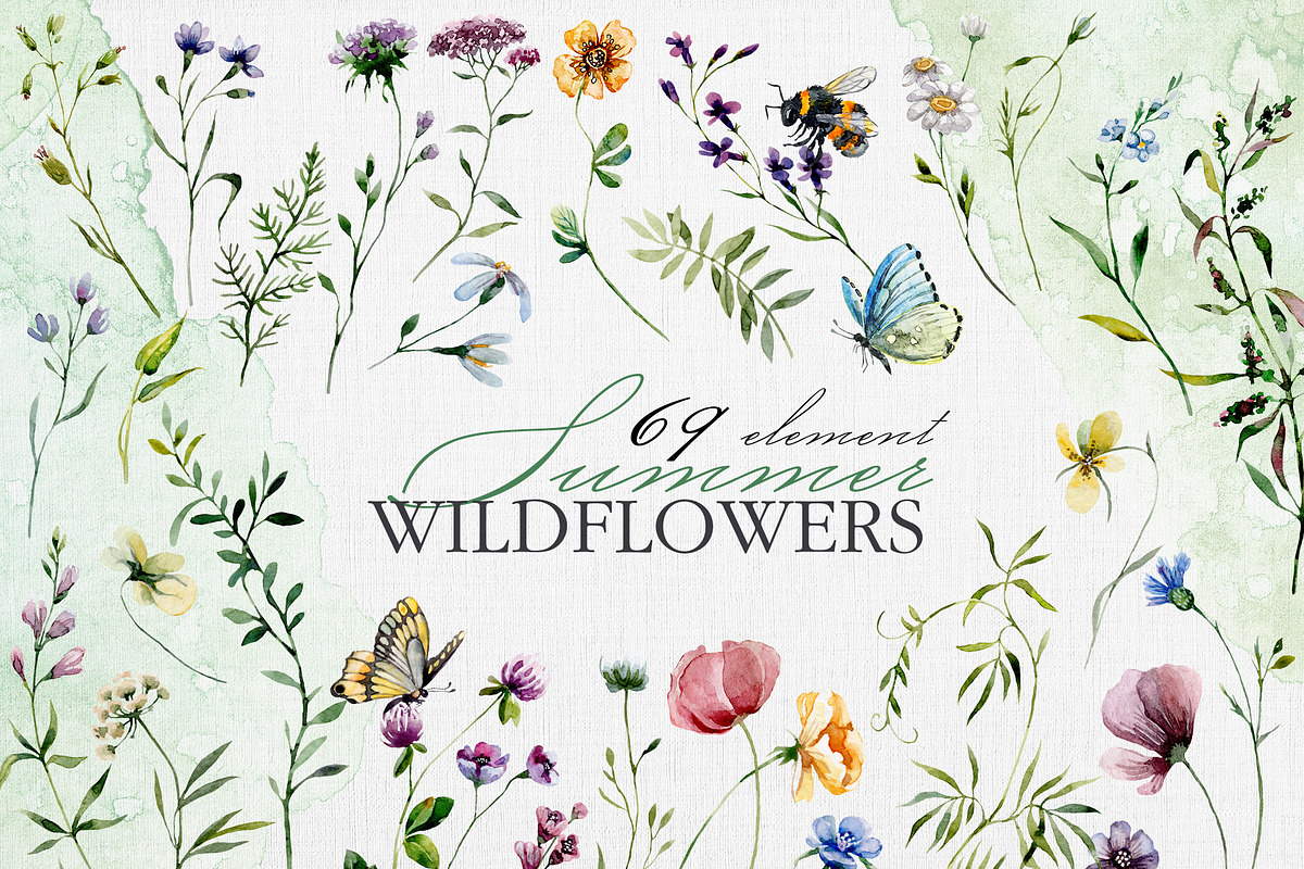 Watercolor set of wildflowers, an Illustration by RushkinaAntonina (Photo 6 of 8)