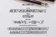 Bikarosta Font Duo with Extras, a Script Font by Maulana Creative (Thumbnail 15 of 17)
