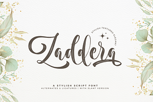 Zaddera - A Stylish Script Font