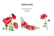 Poppy love watercolor, an Illustration by 7nov.studio (Thumbnail 5 of 7)