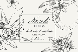 Flowers Neroli. Vector Botanical set