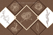 Floral botanical hand-drawn graphics, a Graphic by Personal Epiphany (Thumbnail 4 of 5)