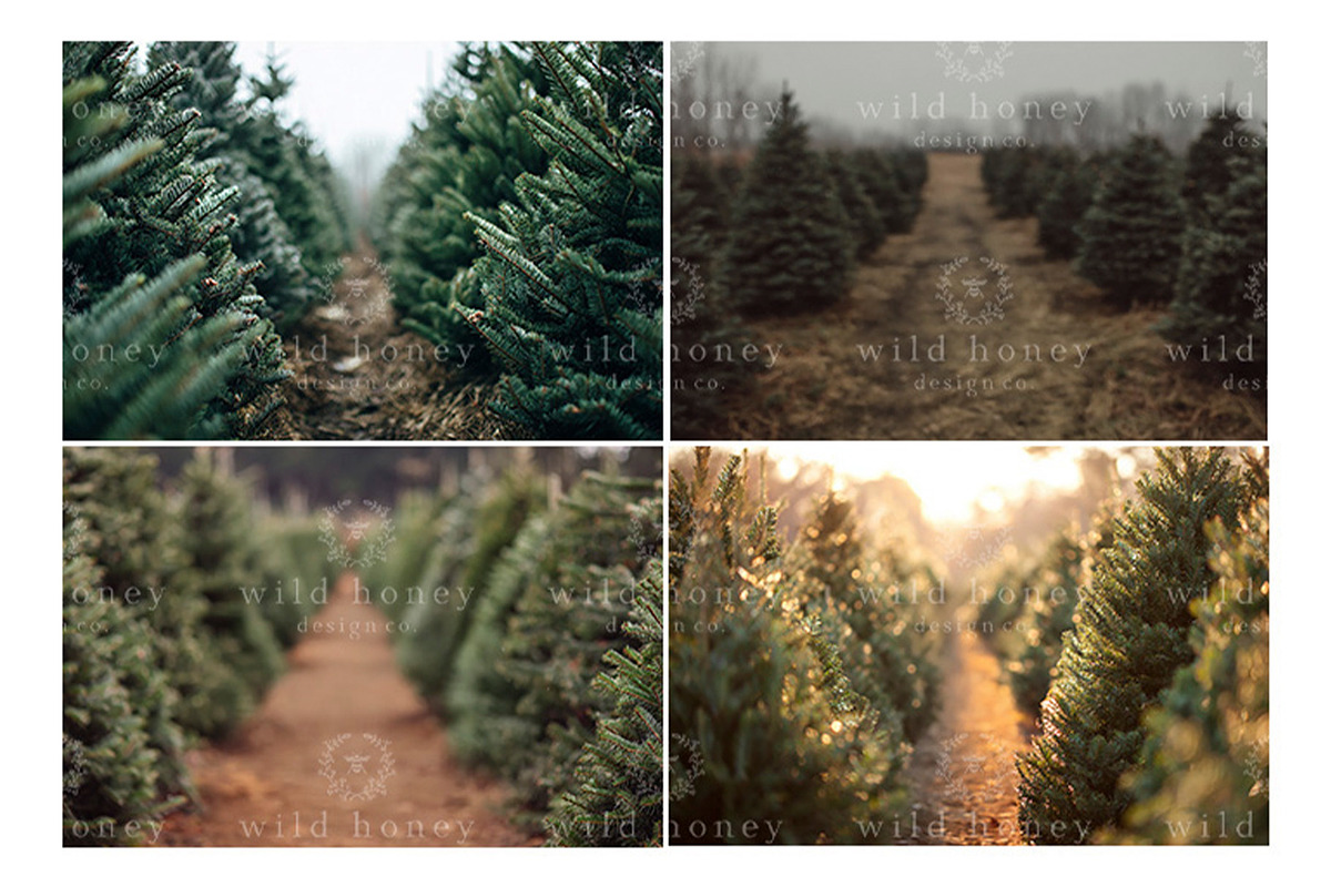 Christmas Tree Farm Digital Backdrop, a Layer Style Add-On by Wild Honey Design Co. (Photo 4 of 4)