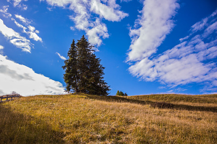 Lovely hills and valleys in the fall, a Nature Photo by kavram