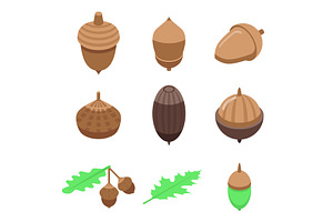 Acorn Icons Set, Isometric Style