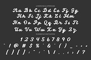 Locke Port - Modern Script Font, a Script Font by PutraCetol Studio (Thumbnail 7 of 12)
