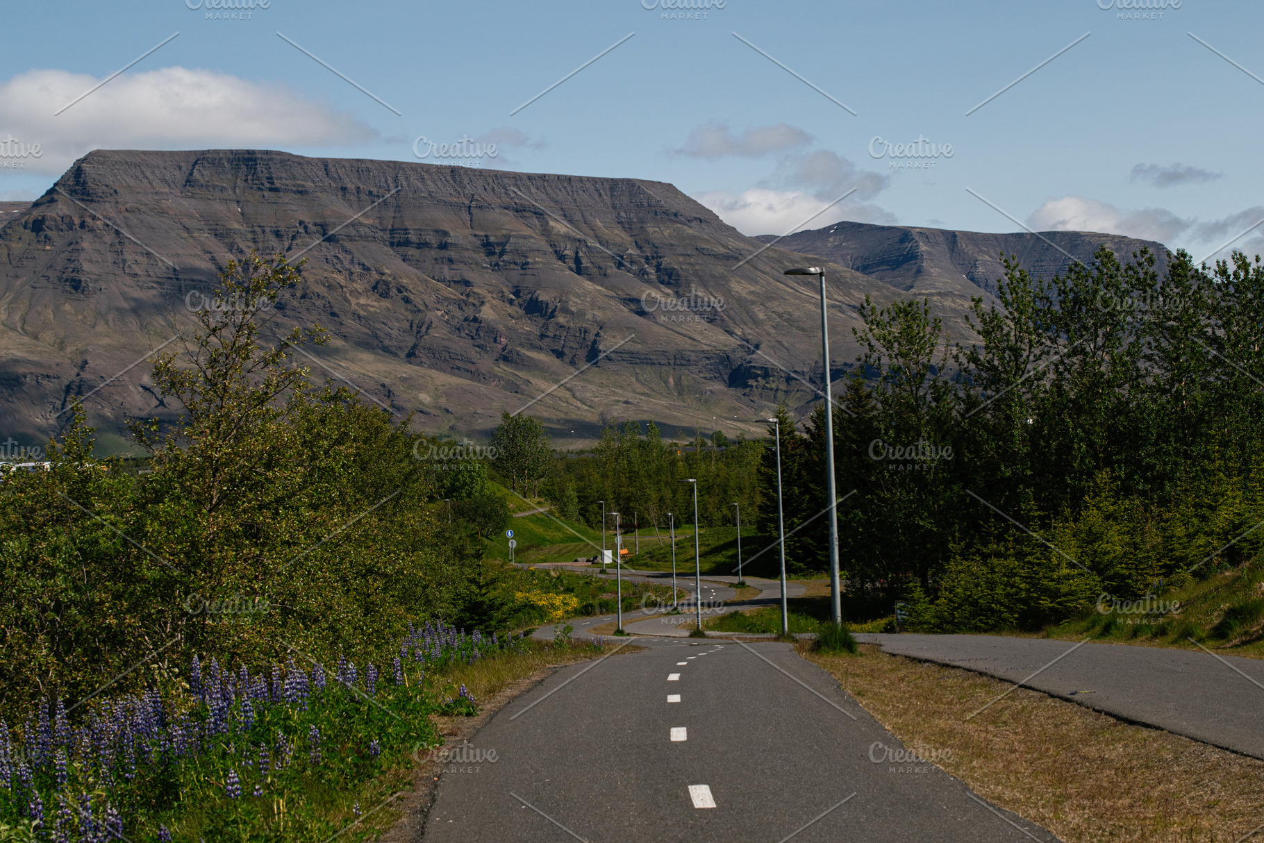 Scenic bike path in Mosfellsbær Iceland with mountain views and lush greenery, a Photo by AS photostudio