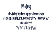 Haley Font, a Script Font by SophieSaxo (Thumbnail 10 of 10)