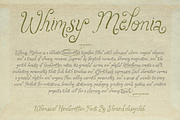 Whimsy Melonia – Whimsical Font, a Handwritten Font by shineink.designlab (Thumbnail 5 of 14)