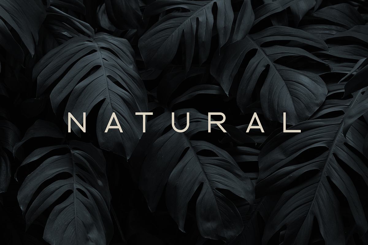 Ablation - Sans Serif Typeface, a Sans Serif Font by VP Fonts (Photo 7 of 10)