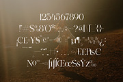 Wargika Modern Stylish Serif Font, a Serif Font by Storytype Studio (Thumbnail 13 of 15)