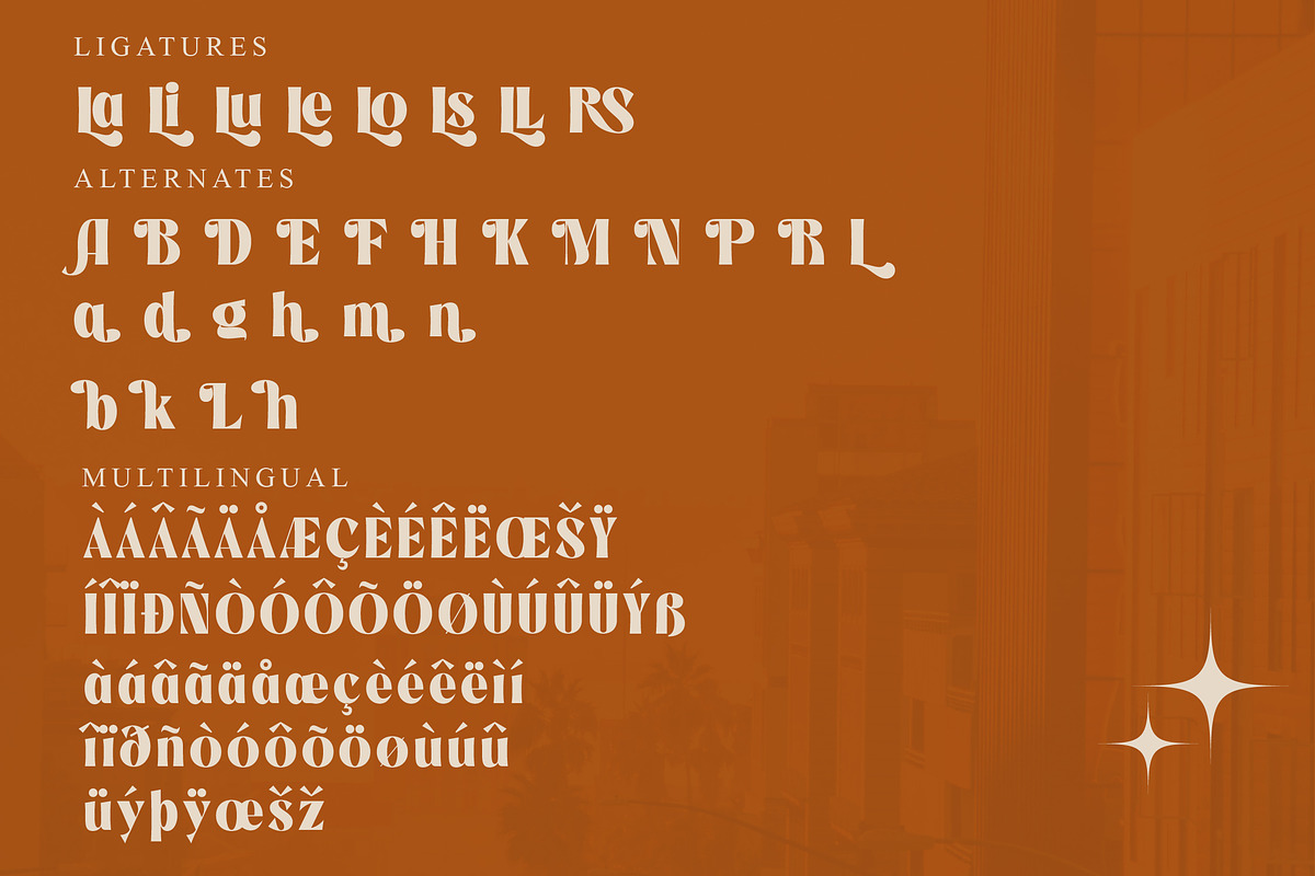 Negoka Modern Display Font, a Sans Serif Font by Storytype Studio (Photo 17 of 18)