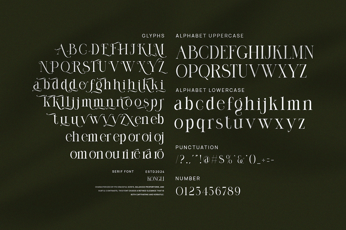 Kongli Elegant Serif Font, a Serif Font by Perfectype (Photo 9 of 9)