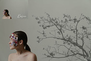 Soft Shadow Photoshop Overlays, an Object Graphic by Prestige Photography (Thumbnail 3 of 10)