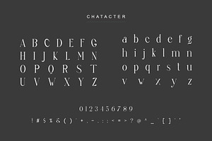 Sagur Unique Ligature Serif Typeface