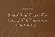 Brihoney - Modern Script Font, a Script Font by RHD Creative Studio (Thumbnail 11 of 11)