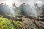 Jungle Lightroom Presets, an Action Add-On by Best Lightroom Presets (Thumbnail 12 of 19)