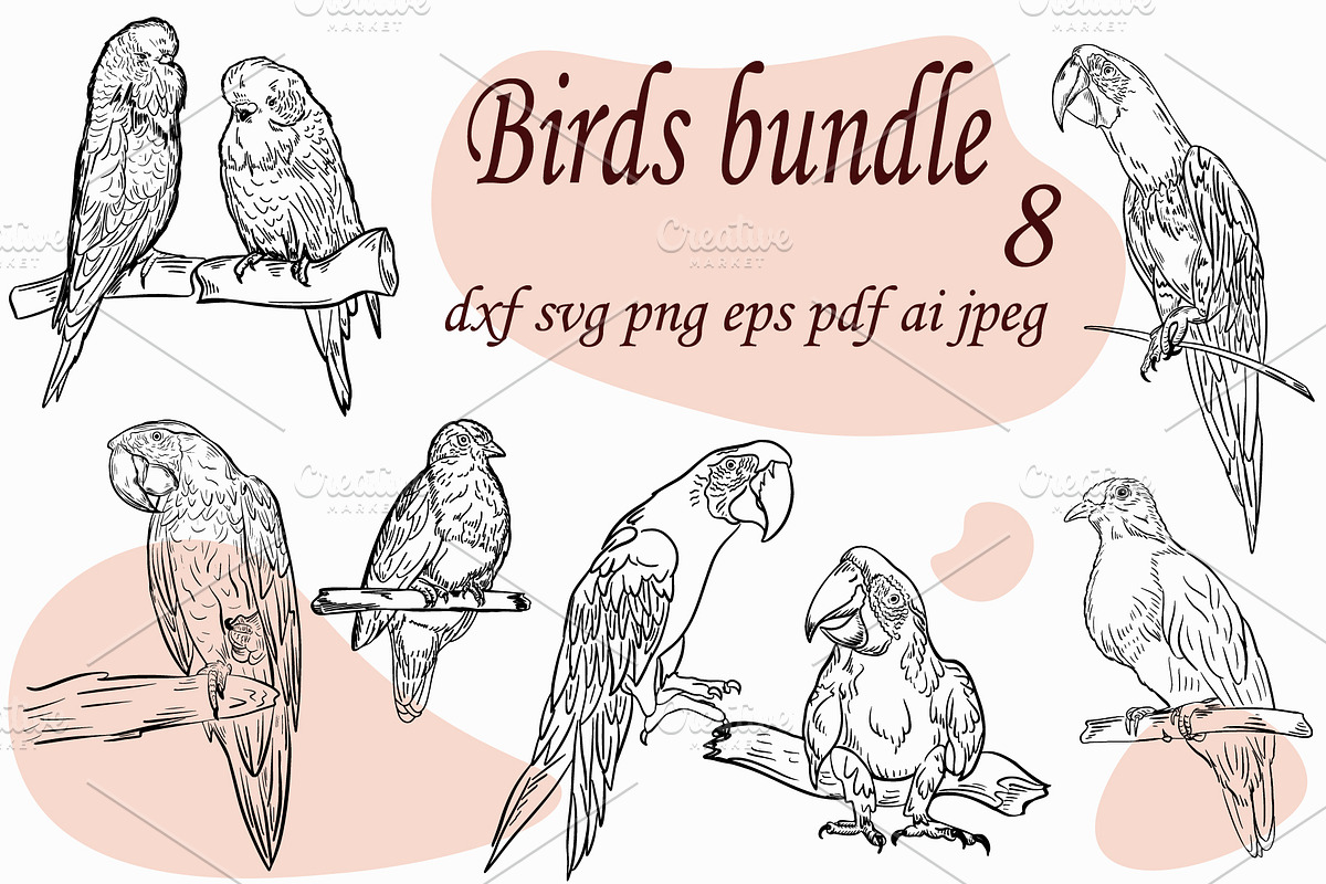 Birds bundle, an Animal Illustration by IPVector (Photo 1 of 6)