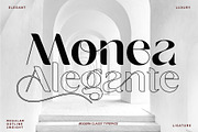 Monea Alegante, a Sans Serif Font by INKSUN™ (Thumbnail 1 of 15)