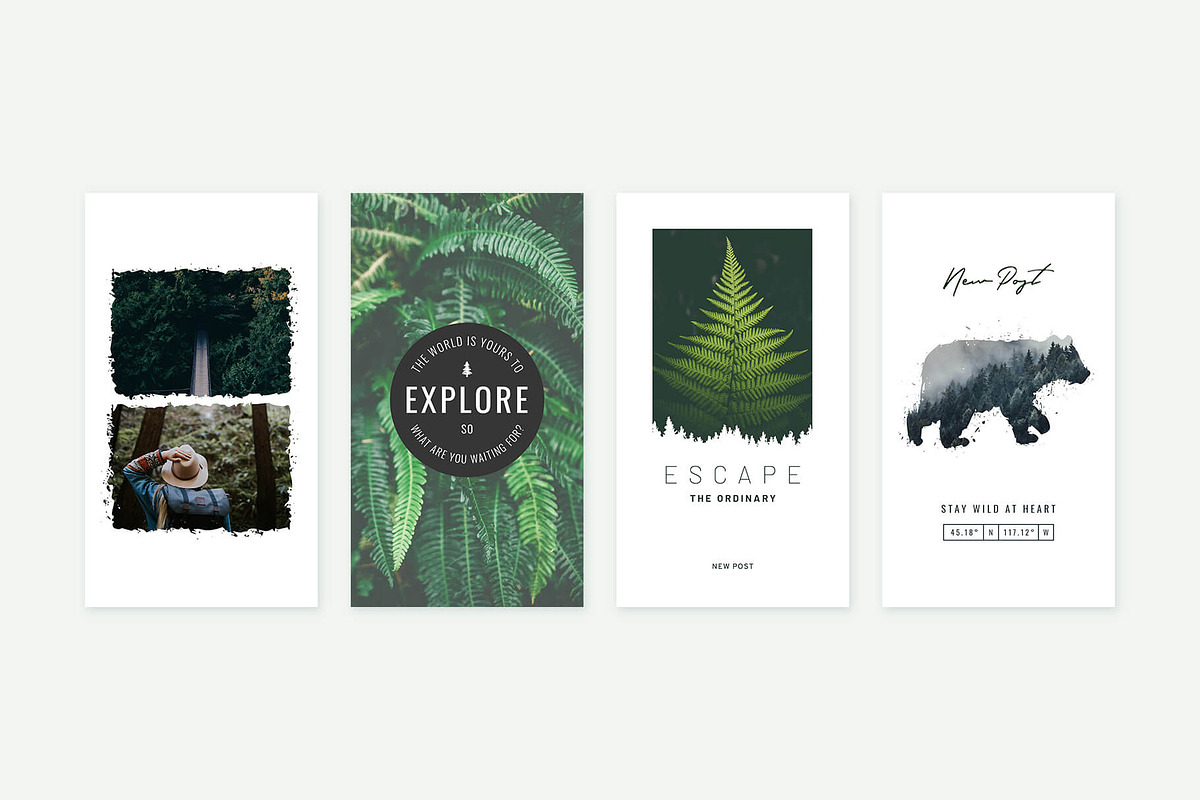 Instagram Stories Forests | CANVA, a Social Media Template by Poego Social (Photo 8 of 12)