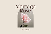 Mont Glinoza Modern Serif Font, a Serif Font by UICreative (Thumbnail 2 of 14)