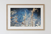 Autumn nature photography set, a Nature Photo by pictures for you (Thumbnail 22 of 22)