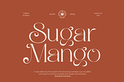 Bright Glitten, a Serif Font by zeenesia (Thumbnail 3 of 20)